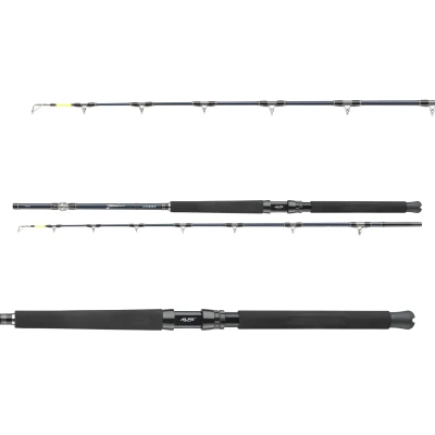 Afbeelding van Daiwa Tanacom Ultra Deep Zeevis Boothengel 2.10m (400 1000g)