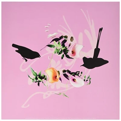 Image de Affiche 30x30 cm Oiseau Jasmin / Jasmine bird Vogel
