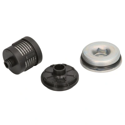 Afbeelding van BorgWarner DS120456 Hydrauliekfilter, Haldex koppeling AUDI: A3 Sportback, TT Roadster, Hatchback, VOLKSWAGEN: Golf 5