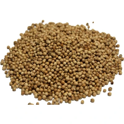Afbeelding van Reniers Fishing Verse Koriander 500gr