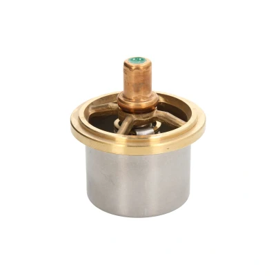 Afbeelding van DT Spare Parts 6.30309 Thermostaat, koelvloeistof 69
