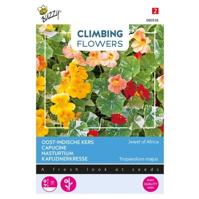Afbeelding van Flowering climbers tropaeolum jewel of africa Buzzy