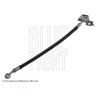 Afbeelding van Blue Print Remslang ADG053208
