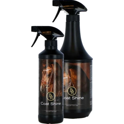 Afbeelding van BR Glansspray 500 ml 1 Kleur
