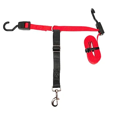 Afbeelding van PetSafe Solvit Zipline hondenriem op de achterbank, ideaal voor reis