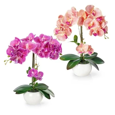 Afbeelding van PASCH Set van 2 kunstmatige orchideeën in glanzende keramische potten (40 cm) kunstbloemen