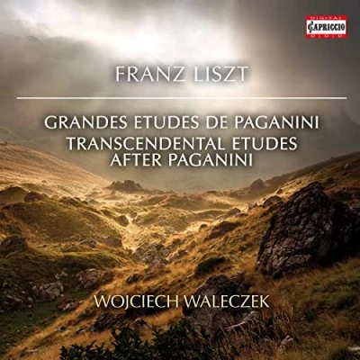 Afbeelding van Wojciech Waleczek Grande Études De Paganini (CD)