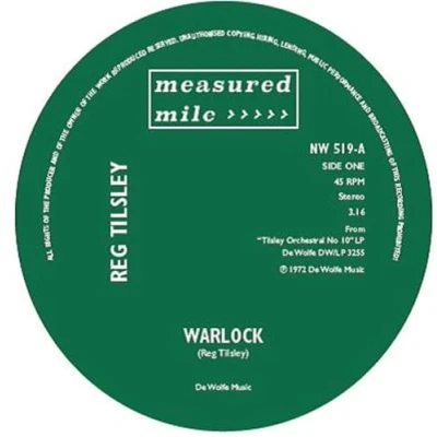 Afbeelding van Warlock/Flashpoint
