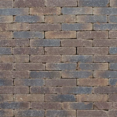 Afbeelding van Clayville Leuven DF 200x65x60 mm Bezand Getrommeld