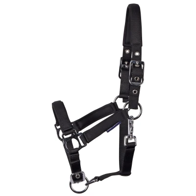 Image de Harry&#039;s Horse Licol pour Poulain Padded Noir Mini Veulen