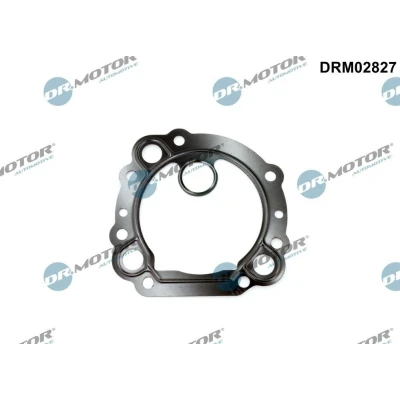 Afbeelding van Afdichting, EGR klep Dr.Motor Automotive DRM02827, voor o.a. FORD