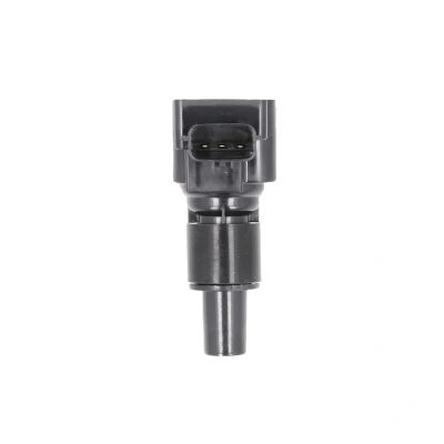 Afbeelding van Bobine DELPHI GN10508 12B1