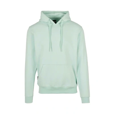 Afbeelding van Cayler &amp; Sons Plain Hoodie, Heren, Maat: Large, Birds egg green