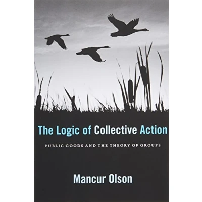 Afbeelding van Logic of Collective Action