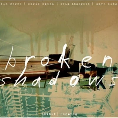 Afbeelding van Tim Berne, Chris Speed, Reid Anderson, Dave King Broken Shadows (CD)
