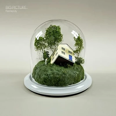 Afbeelding van Fenne Lily Big Picture (LP)
