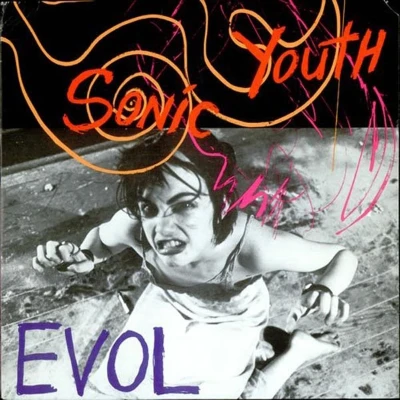 Afbeelding van Sonic Youth Evol (LP)