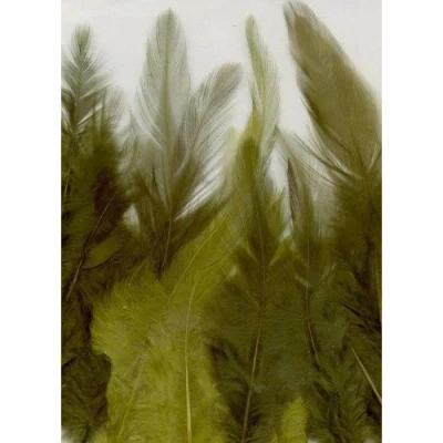 Afbeelding van Veren groen mix 9 15 cm ST