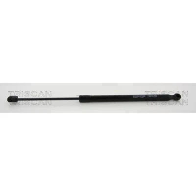 Afbeelding van Triscan Gasveer 8710 24242