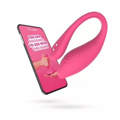 Afbeelding van EasyConnect Vibrererend Eitje App Gestuurd