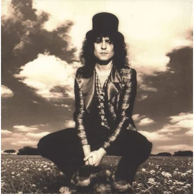 Afbeelding van Marc Bolan Skycloaked Lord