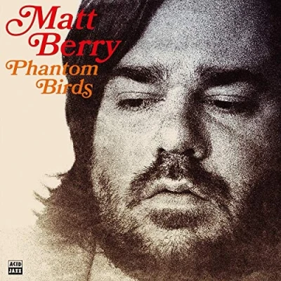 Afbeelding van Matt Berry Phantom Birds (LP)