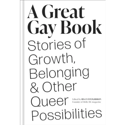 Afbeelding van A Great Gay Book
