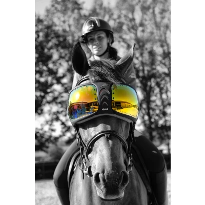 Image de eQuick Verres de Lunettes for eVysor Orange One Size