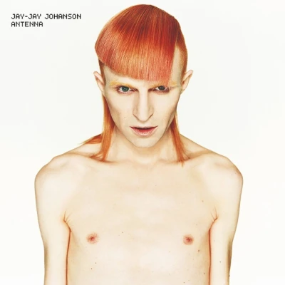 Afbeelding van Jay Johanson Antenna (LP)