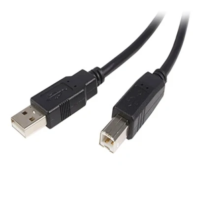 Image de StarTech.com câble USB 2.0 A vers B de 2 m M/M