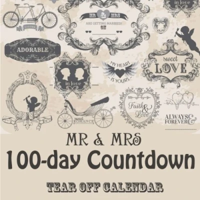 Afbeelding van Mr. &amp; Mrs. 100 Day Tear off Countdown Calendar