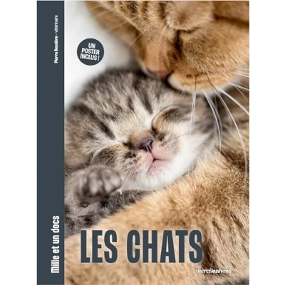 Afbeelding van LES CHATS (+ 1 POSTER RECTO VERSO)