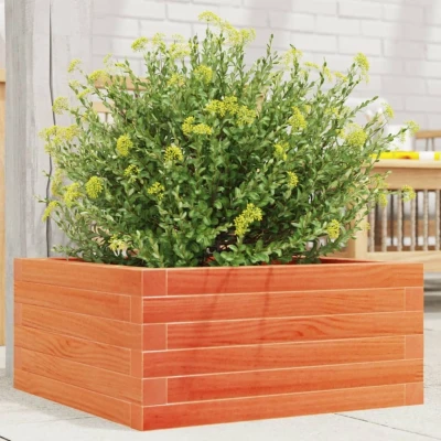 Afbeelding van Plantenbak 50x50x23 cm massief grenenhout wasbruin