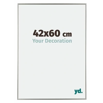 Afbeelding van Fotolijst 42x60 cm Kunststof Champagne Evry