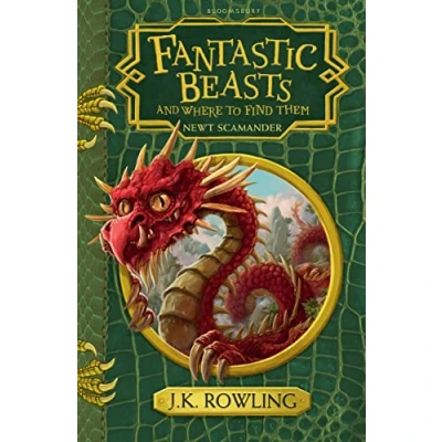 Image de Fantastic Beasts and Where to Find Them