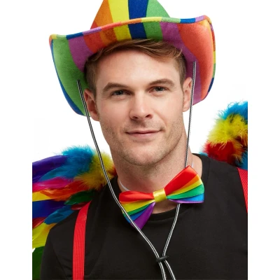 Afbeelding van Regenboog strik verkleedaccessoires Gay pride thema