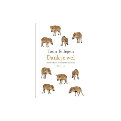 Afbeelding van Dank je wel
