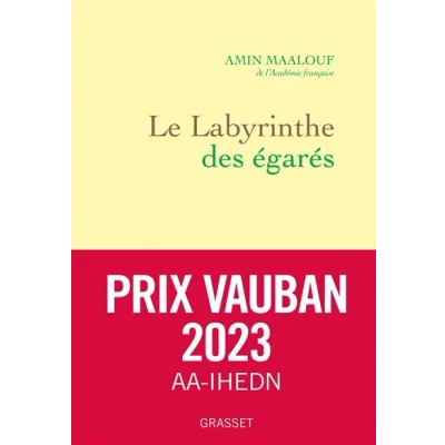 Image de Le labyrinthe des égarés