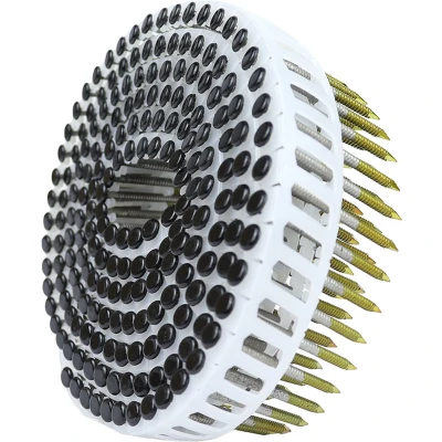 Afbeelding van Wovar Bolkop Rolnagels RVS A2 Zwart 2.52.7 x 50 mm Rol 200 stuks