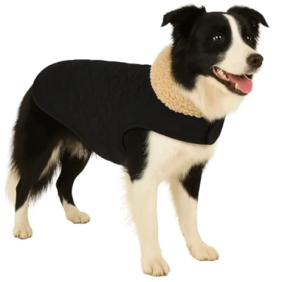Afbeelding van Flamingo Jas voor honden Bonnie zwart Maat 50cm (A: 50 cm, B: 38 40 C: 62 68 cm) Ideaal Beagle, Shetland Sheepdog, Border Collie, Lagotto Romagnolo &amp; Australische Terriër