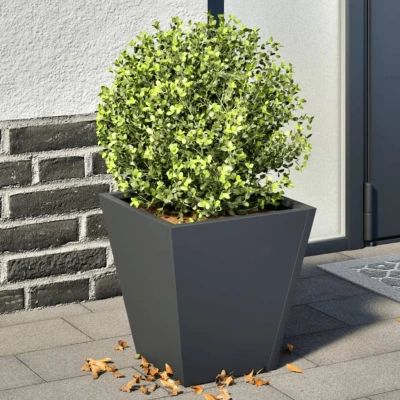 Afbeelding van vidaXL Plantenbakken 2 st 30x30x30 cm staal antracietkleurig