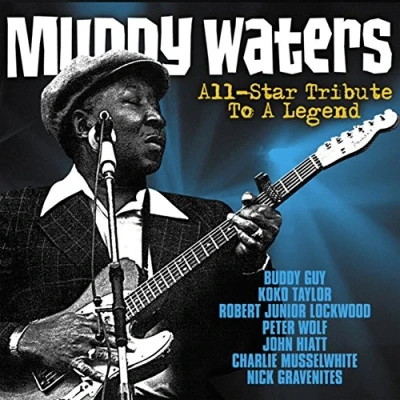 Afbeelding van Muddy Waters