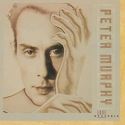 Afbeelding van Peter Murphy Love Hysteria