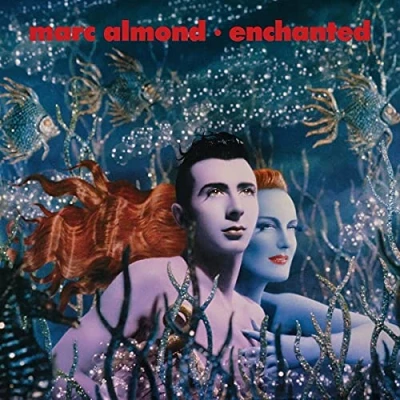 Afbeelding van Enchanted