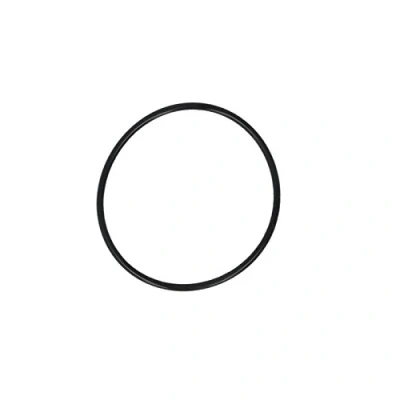 Afbeelding van O ring BOSCH F 00V C38 040