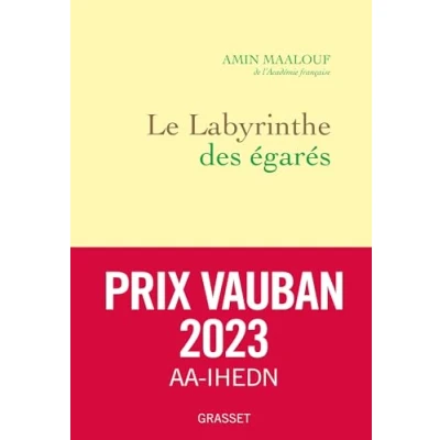 Afbeelding van Le labyrinthe des égarés