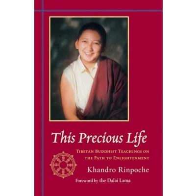 Afbeelding van This Precious Life