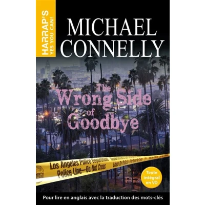 Image de The Wrong side of good bye