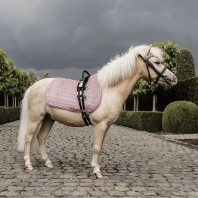 Afbeelding van Roze pony velours zadeldek