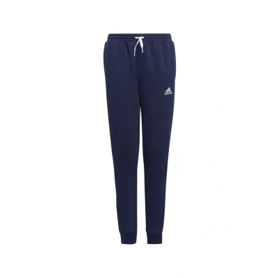 Afbeelding van adidas Uniseks kinderbroek Entrada 22 sweatpants